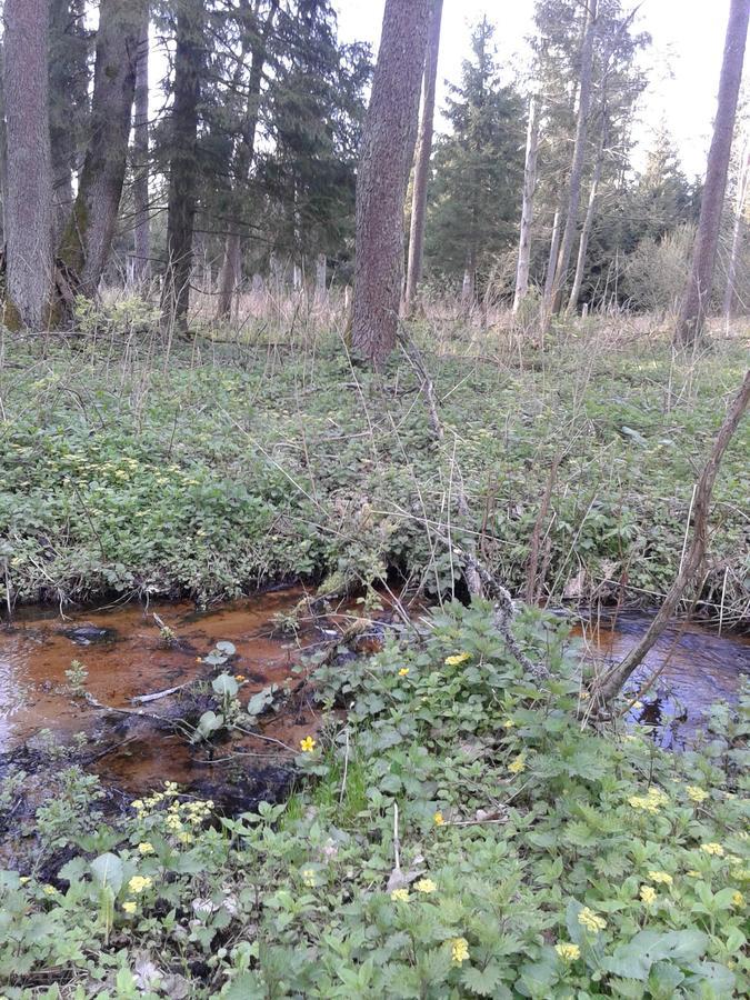 Гостевой дом Cztery Pory Roku Беловеж Экстерьер фото